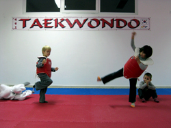 mala skola tkd kwon